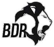 BDR Pharma